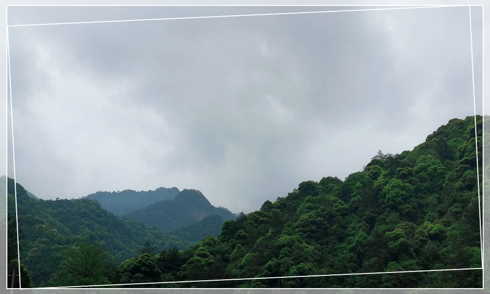 深圳正搜旅游1.jpg